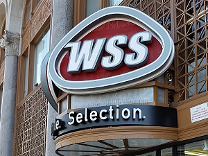 ZeroOutages-case-study-f-WSS